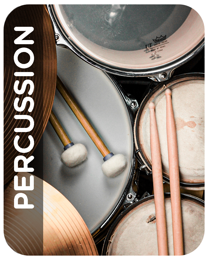 Shop Drums & Percussion Category