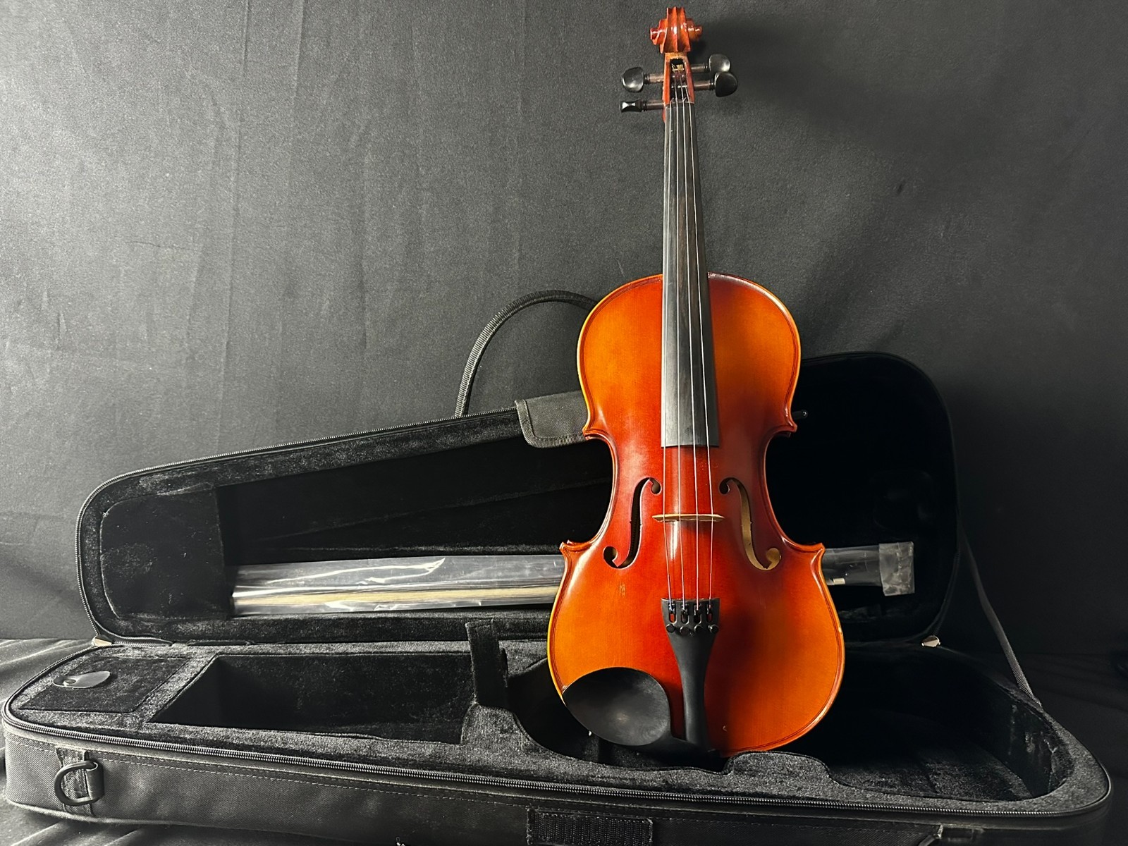Erich Pfretzschner 110016 16" Viola w/ Case and Bow