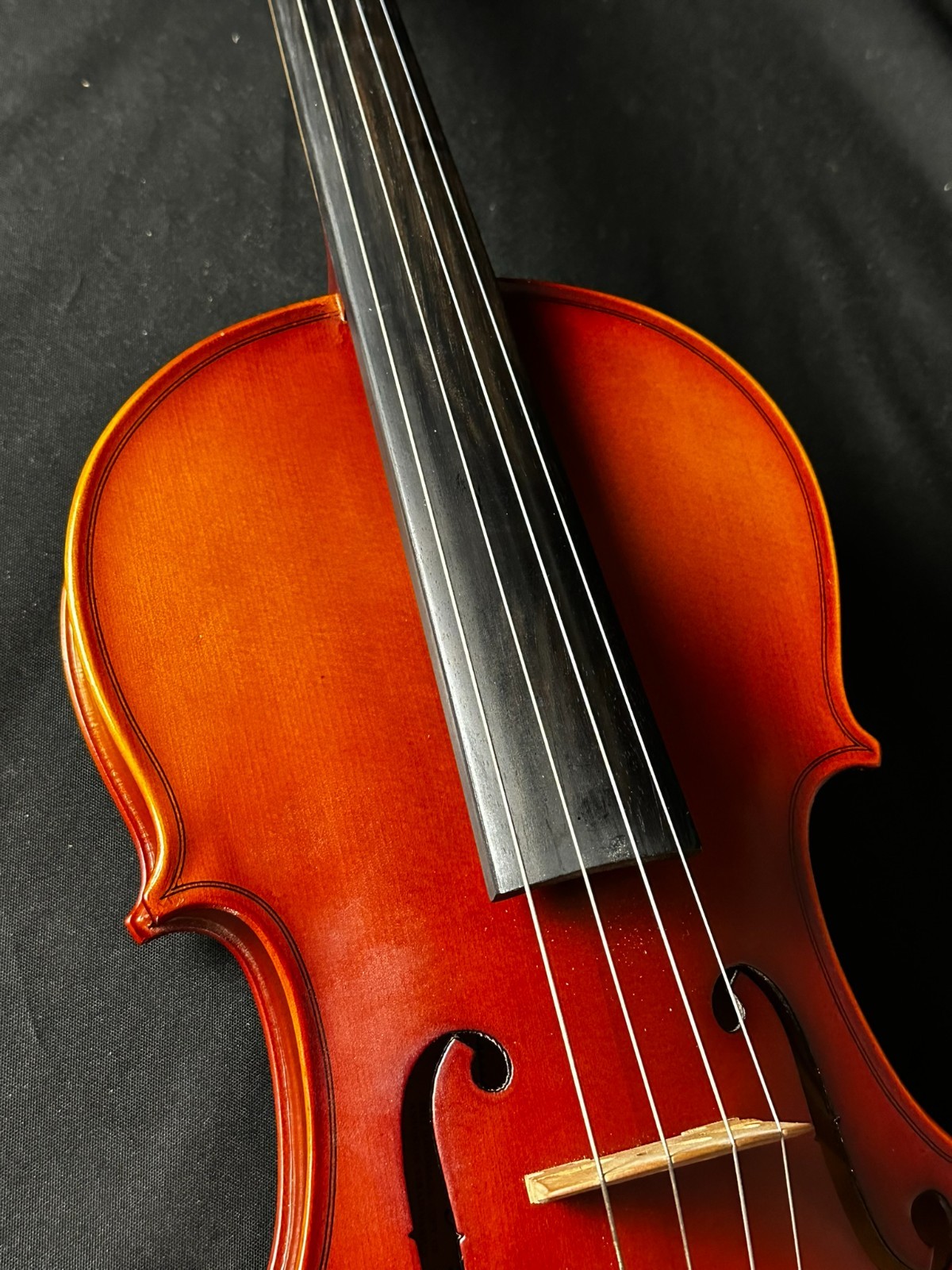 Erich Pfretzschner 110016 16" Viola w/ Case and Bow - Image 5