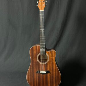 NEW Antonio Giuliani DN-1 Acoustic Dreadnought Cutaway Guitar w/ Gig Bag