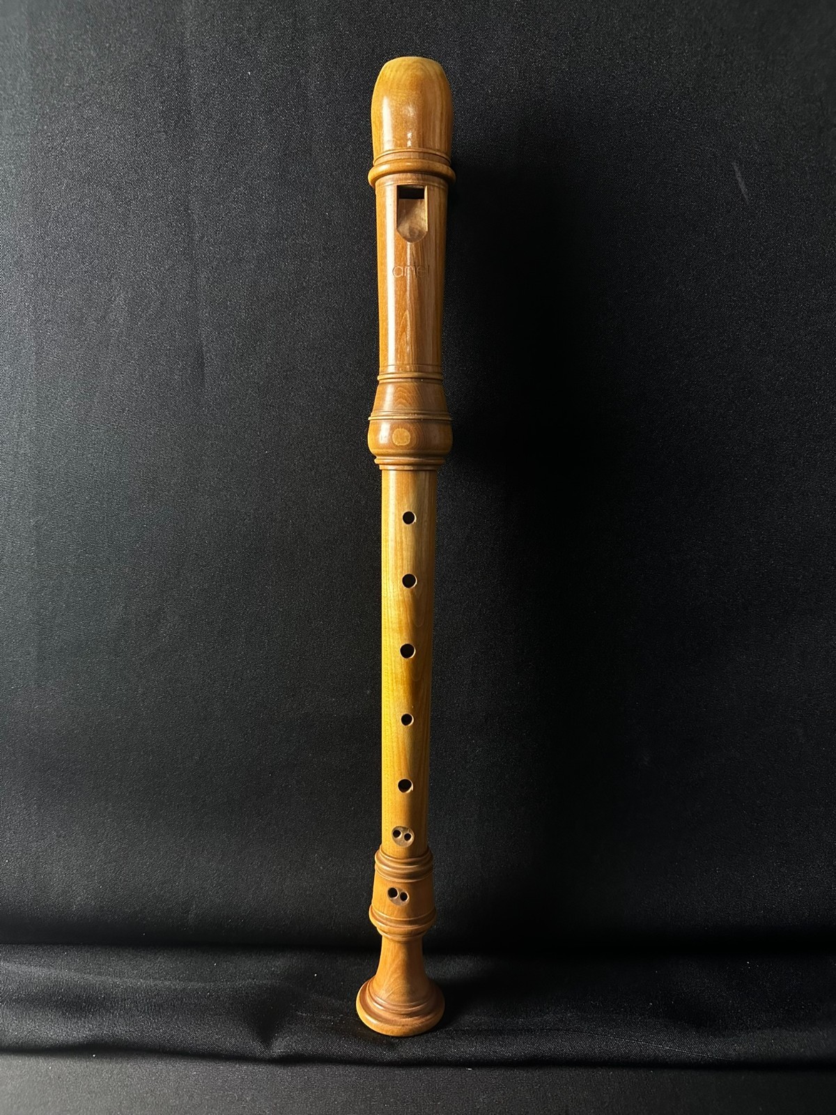 Ariel Soprano Wood Recorder w/ Carrying Case