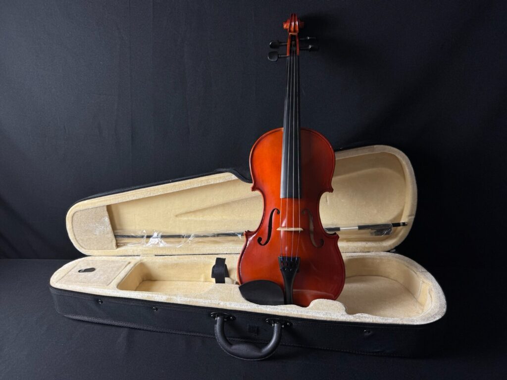 Maple Leaf MLS110VN 4/4 Student Violin Outfit