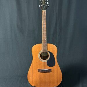 Vantek VIS-1 Acoustic Guitar w/ NEW Gator Gig Bag