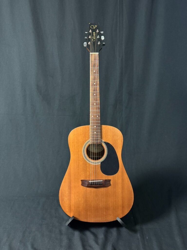 Vantek VIS-1 Acoustic Guitar w/ NEW Gator Gig Bag