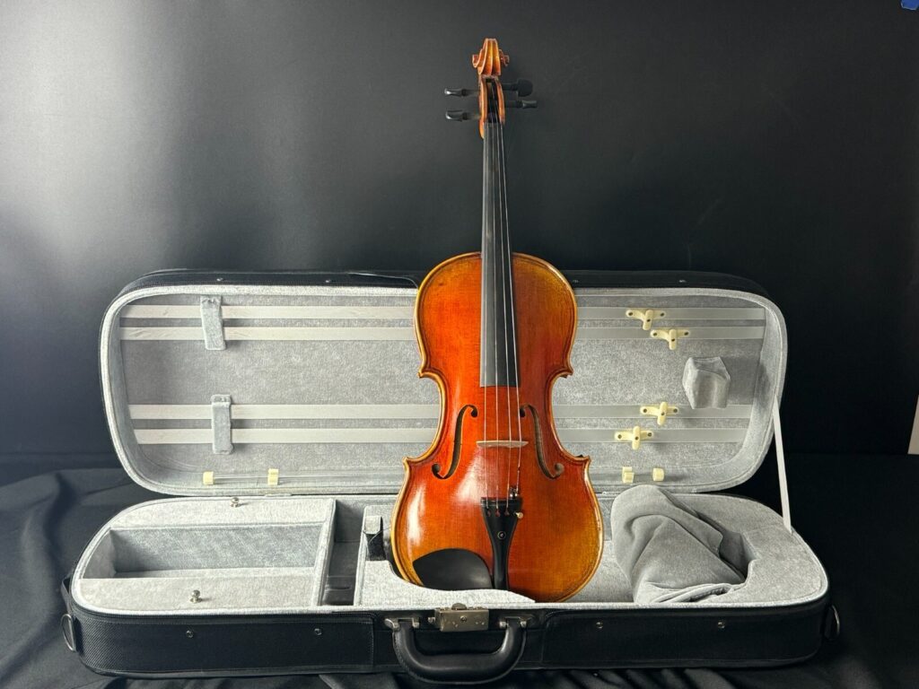 Maple Leaf Strings MLS510VA-M "Ruby" 16.5" Viola (2017)