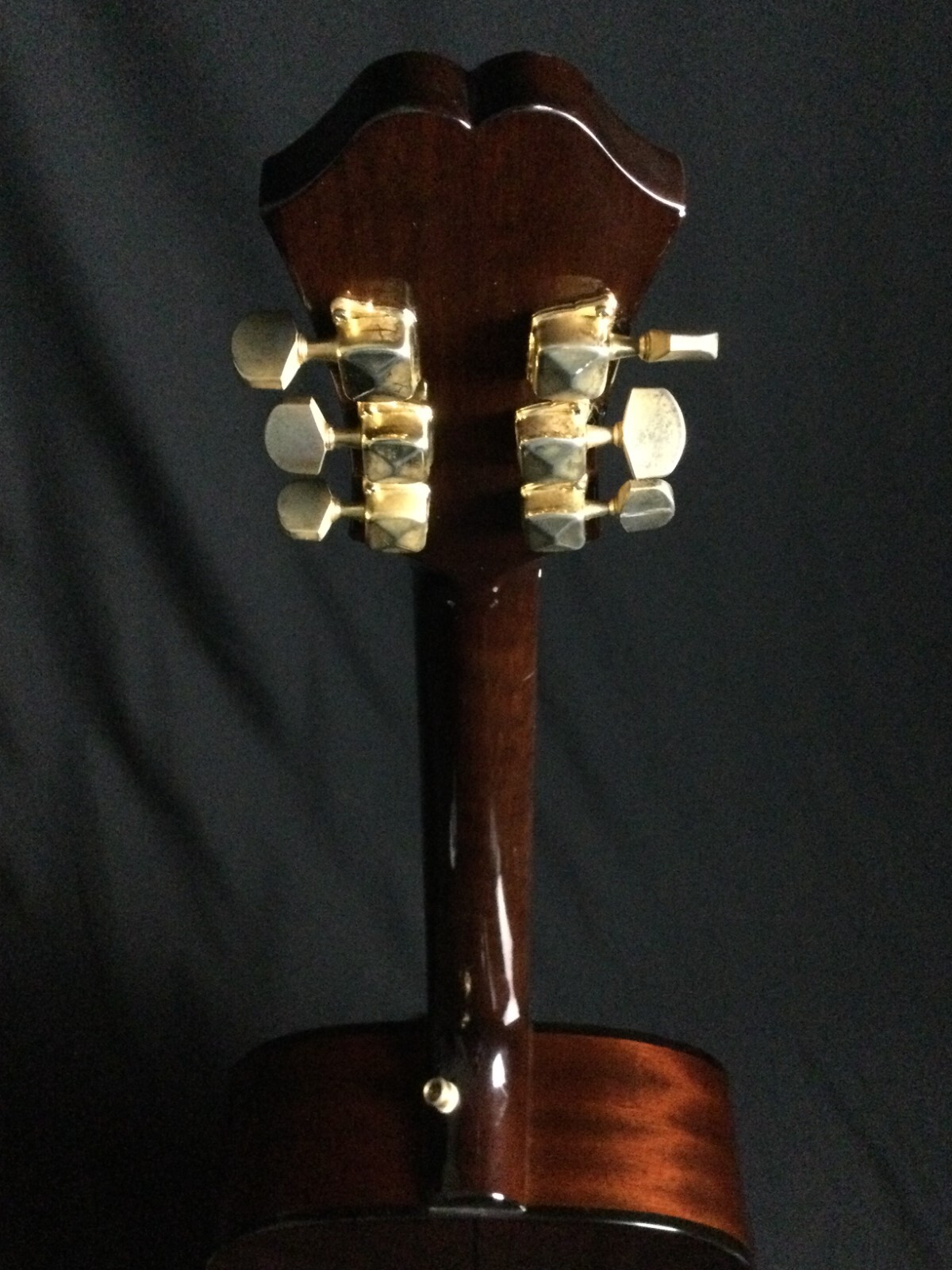 Epiphone AJ-10TG Acoustic Guitar - Image 10