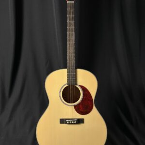 Gold Tone I-TG-10 Tenor Acoustic Guitar w/gig bag