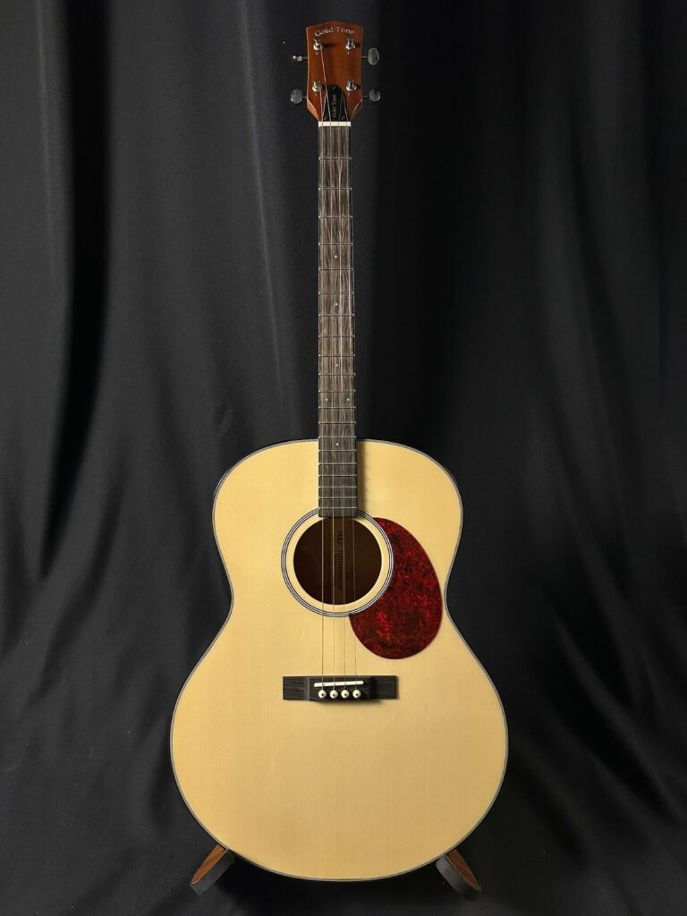 Gold Tone I-TG-10 Tenor Acoustic Guitar w/gig bag