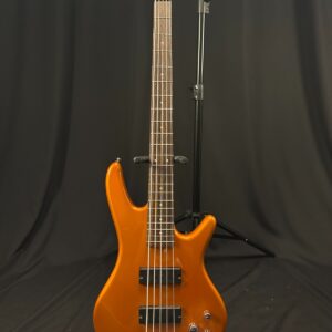 Ibanez Gio GSR205 5 String Electric Bass w/Road Runner Soft Case