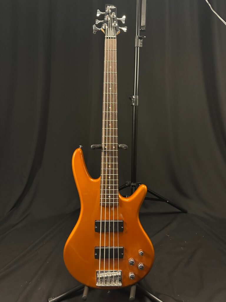 Ibanez Gio GSR205 5 String Electric Bass w/Road Runner Soft Case