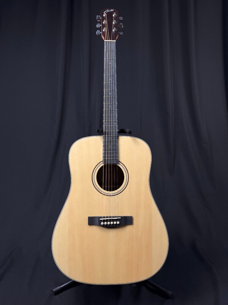 Austin AA25DS Acoustic Guitar