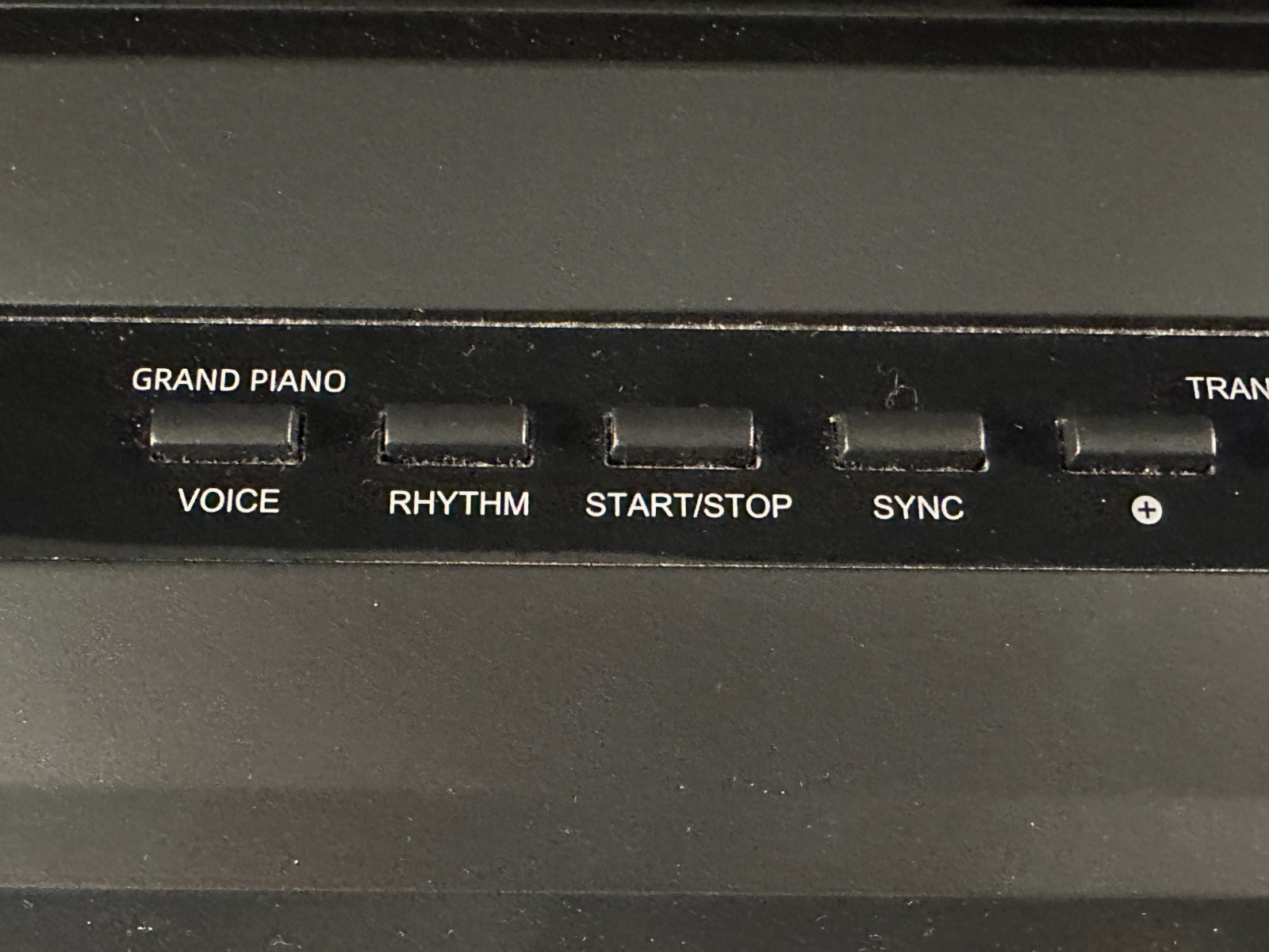 Donner DEP-20 88-Key Digital Piano - Image 5