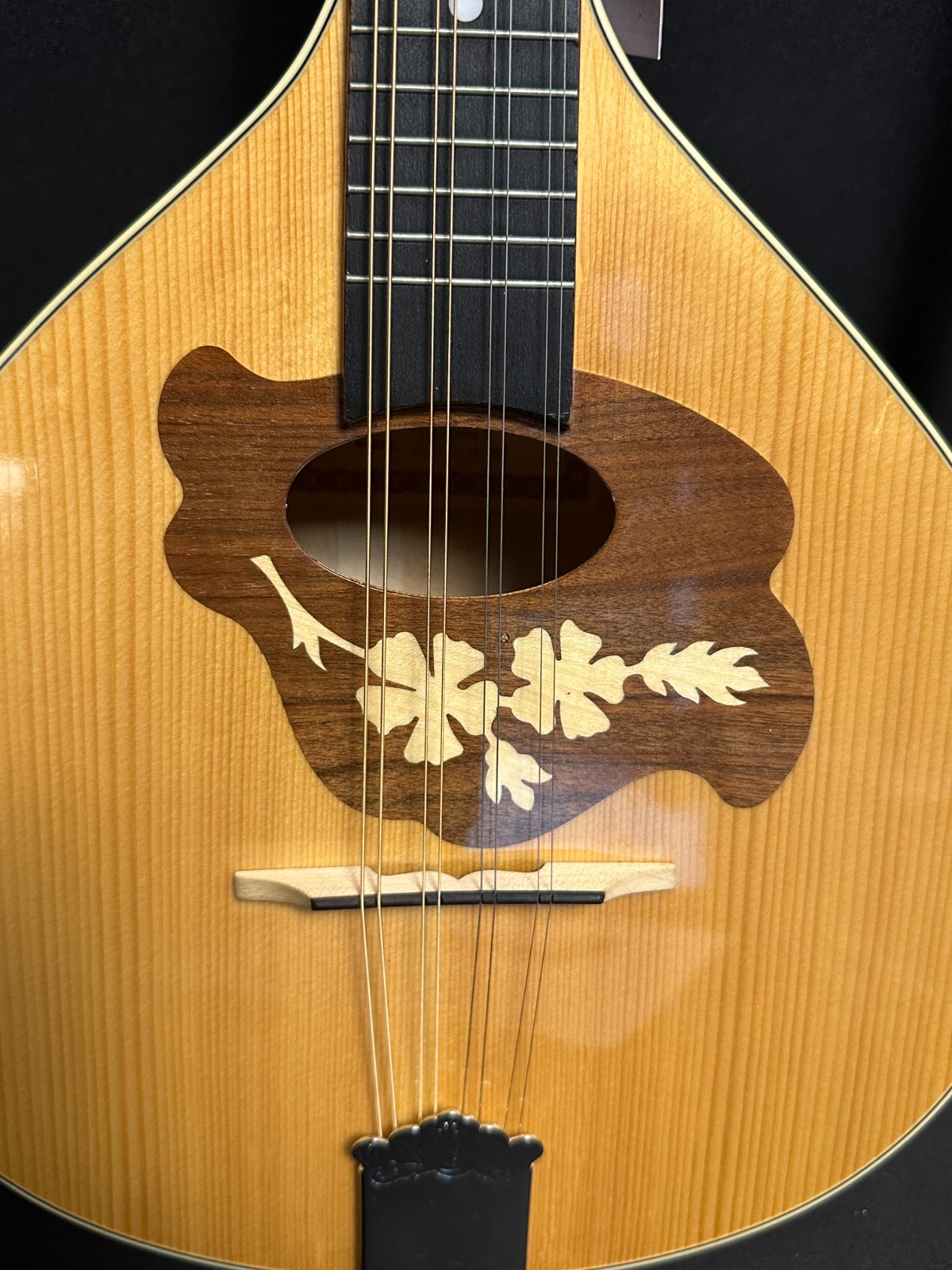 Hora M1085 Portuguese Mandolin - Image 2