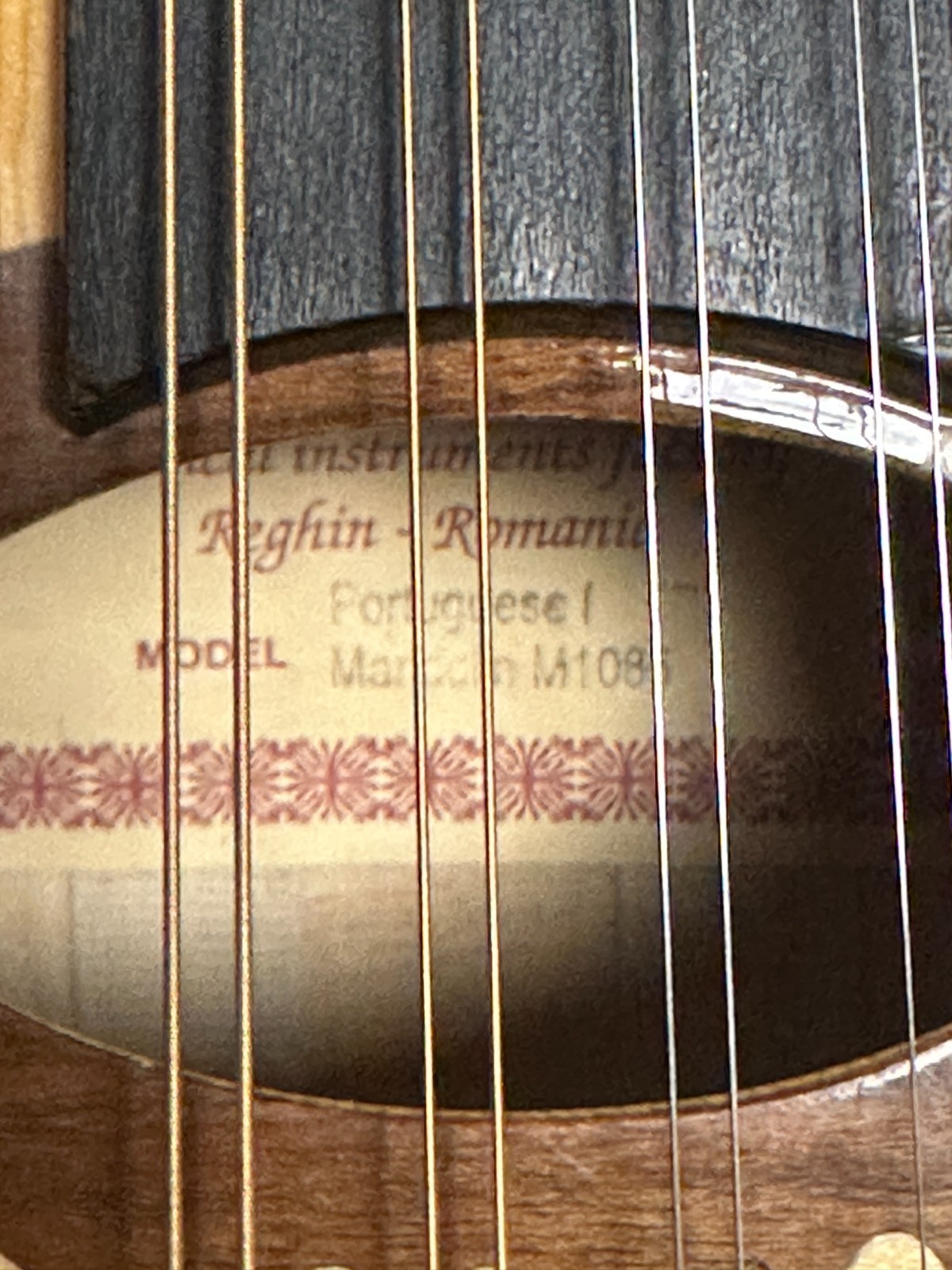 Hora M1085 Portuguese Mandolin - Image 5