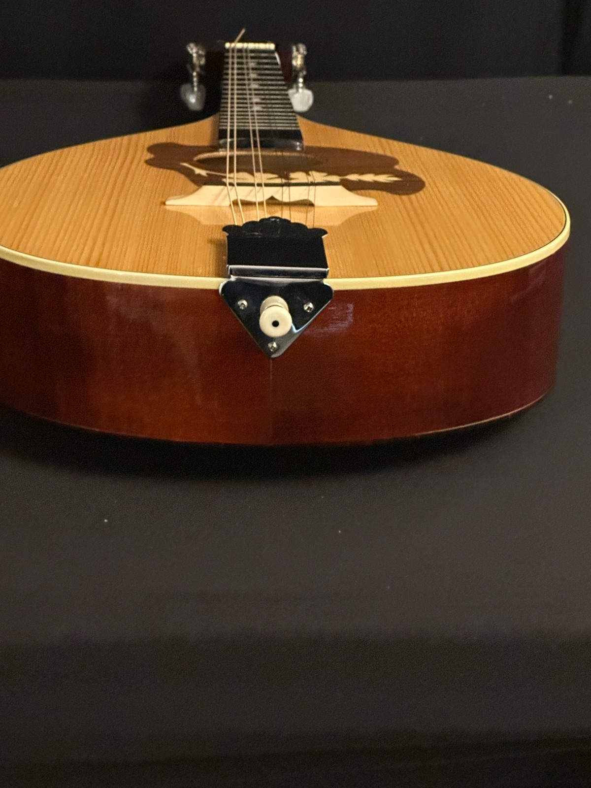 Hora M1085 Portuguese Mandolin - Image 6