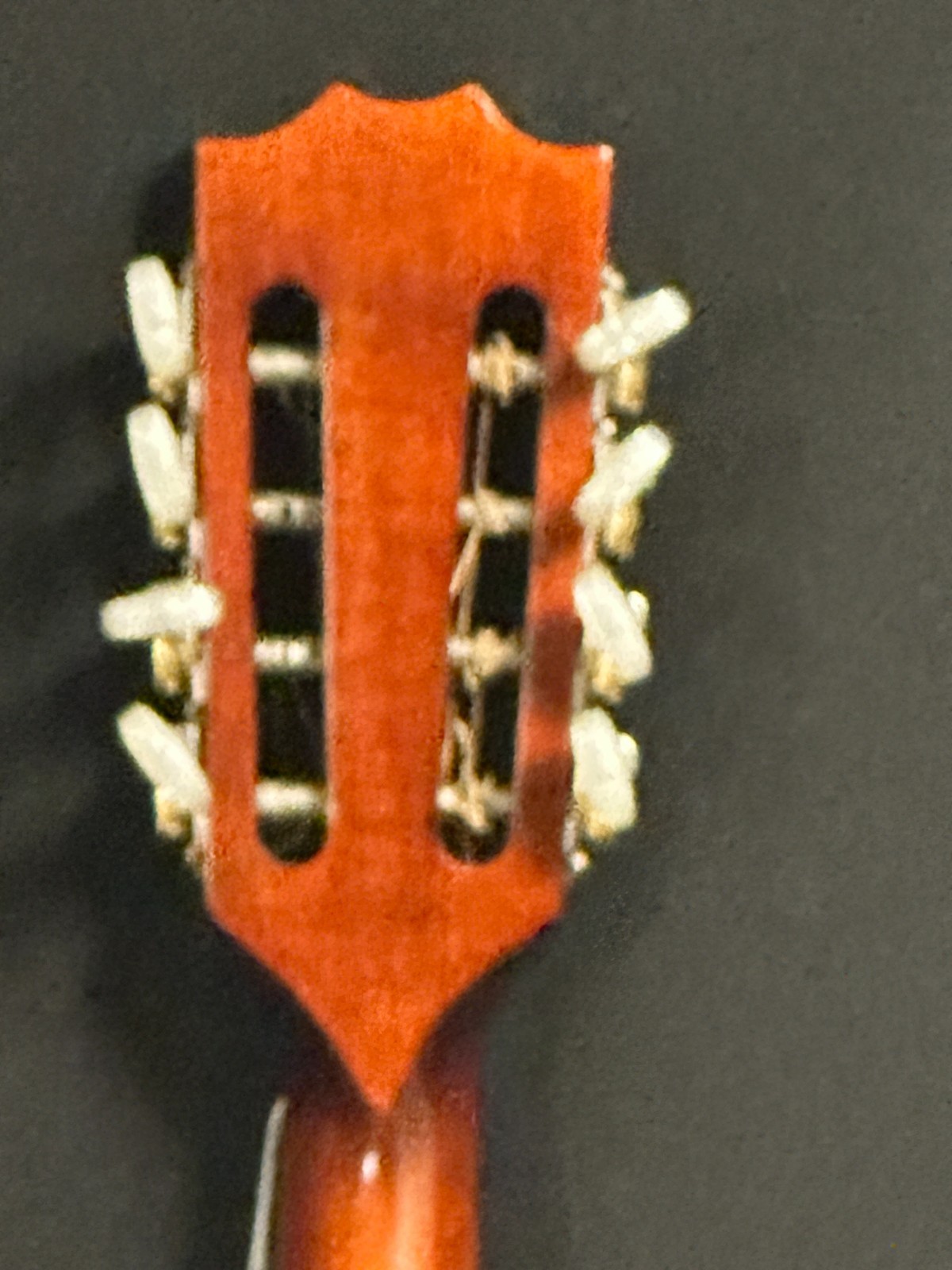 Hora M1085 Portuguese Mandolin - Image 9