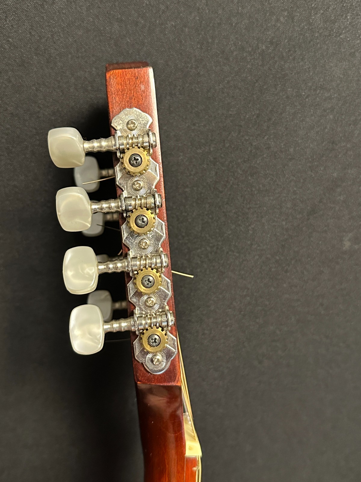 Hora M1085 Portuguese Mandolin - Image 11