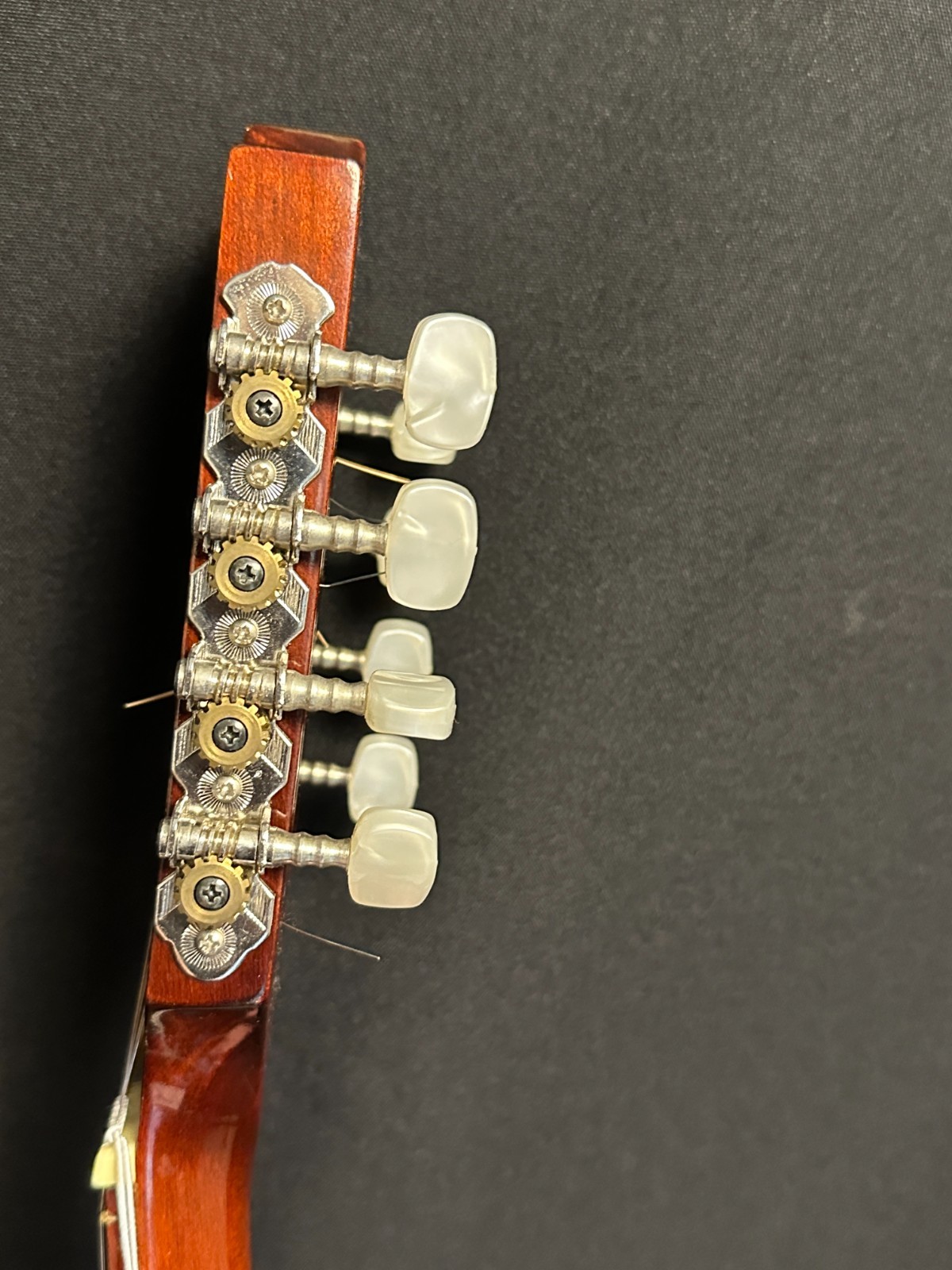 Hora M1085 Portuguese Mandolin - Image 12