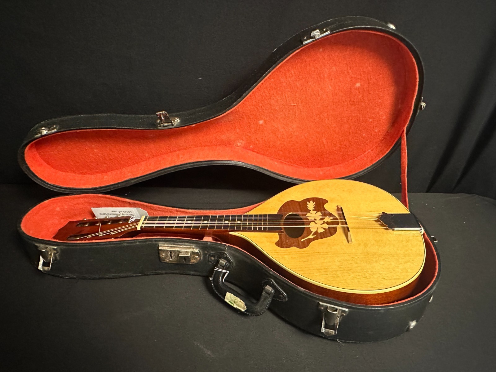 Hora M1085 Portuguese Mandolin - Image 14