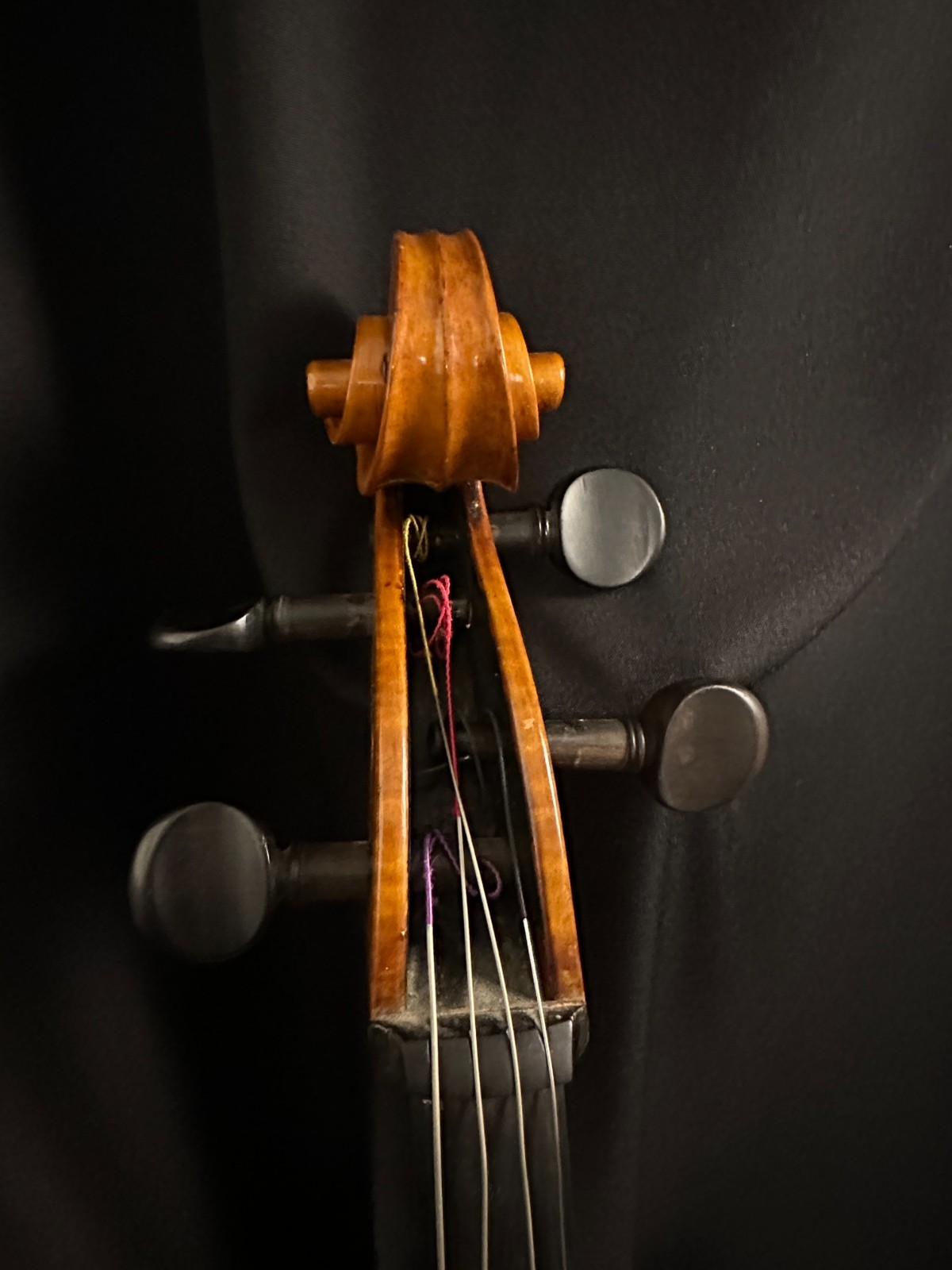 Karl Klotz (1755) 4/4 Cello Outfit - Image 4