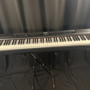 Donner DEP-20 88-Key Digital Piano