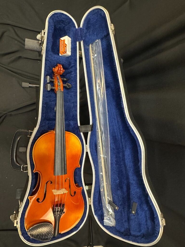 Josef Lorenz Luby (Schonbach) 4/4 Violin Outfit
