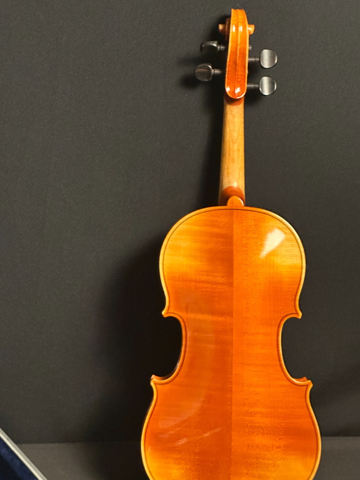 Josef Lorenz Luby (Schonbach) 4/4 Violin Outfit - Image 9