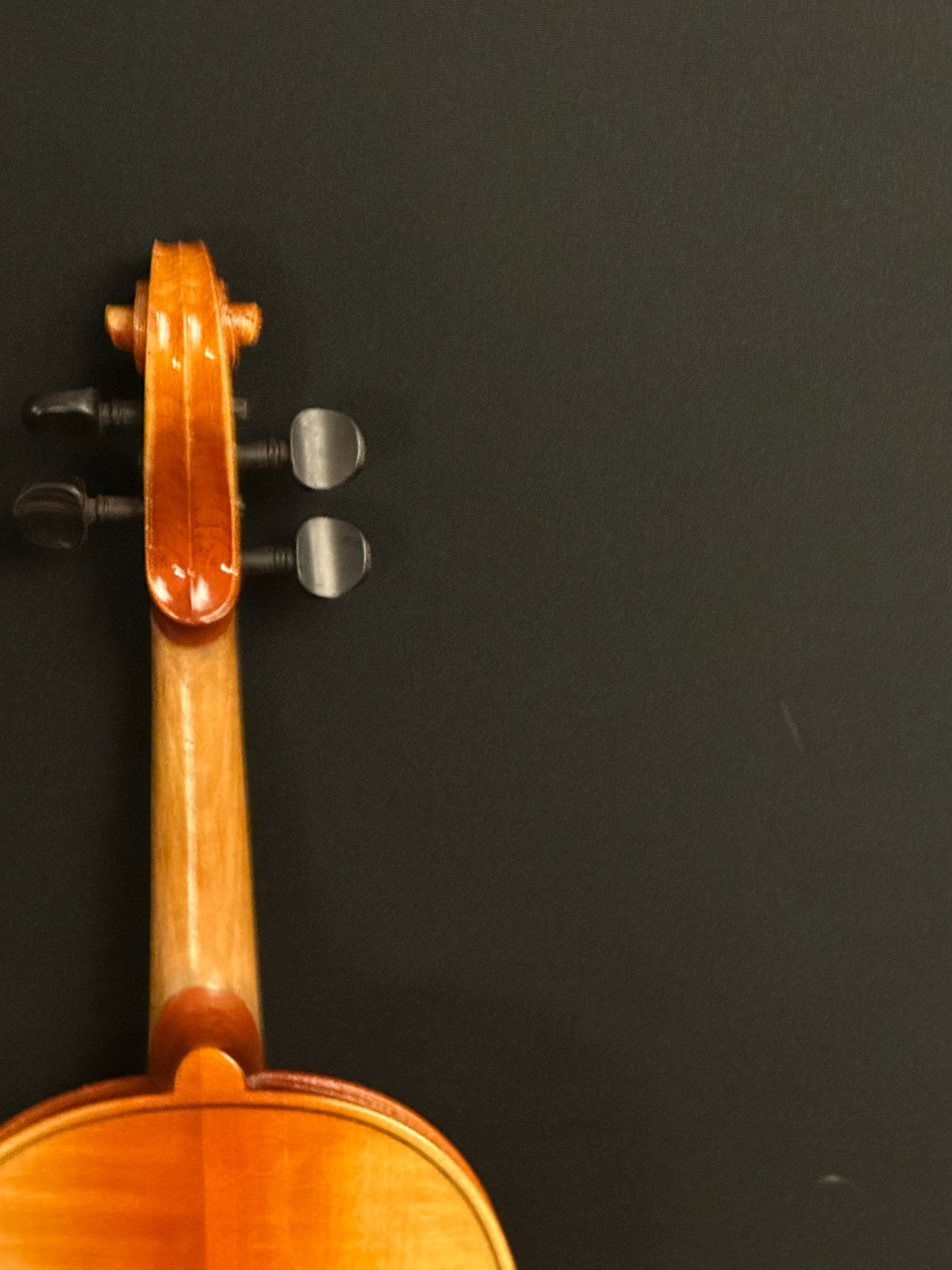 Josef Lorenz Luby (Schonbach) 4/4 Violin Outfit - Image 11