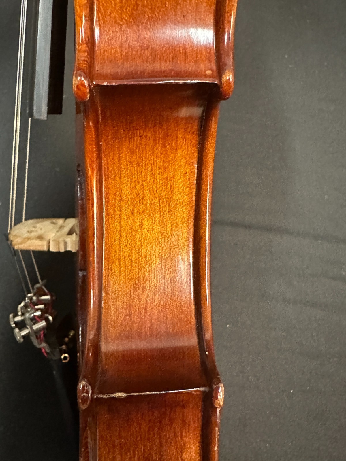 Corina 100 1/2 size Violin Outfit - Image 5