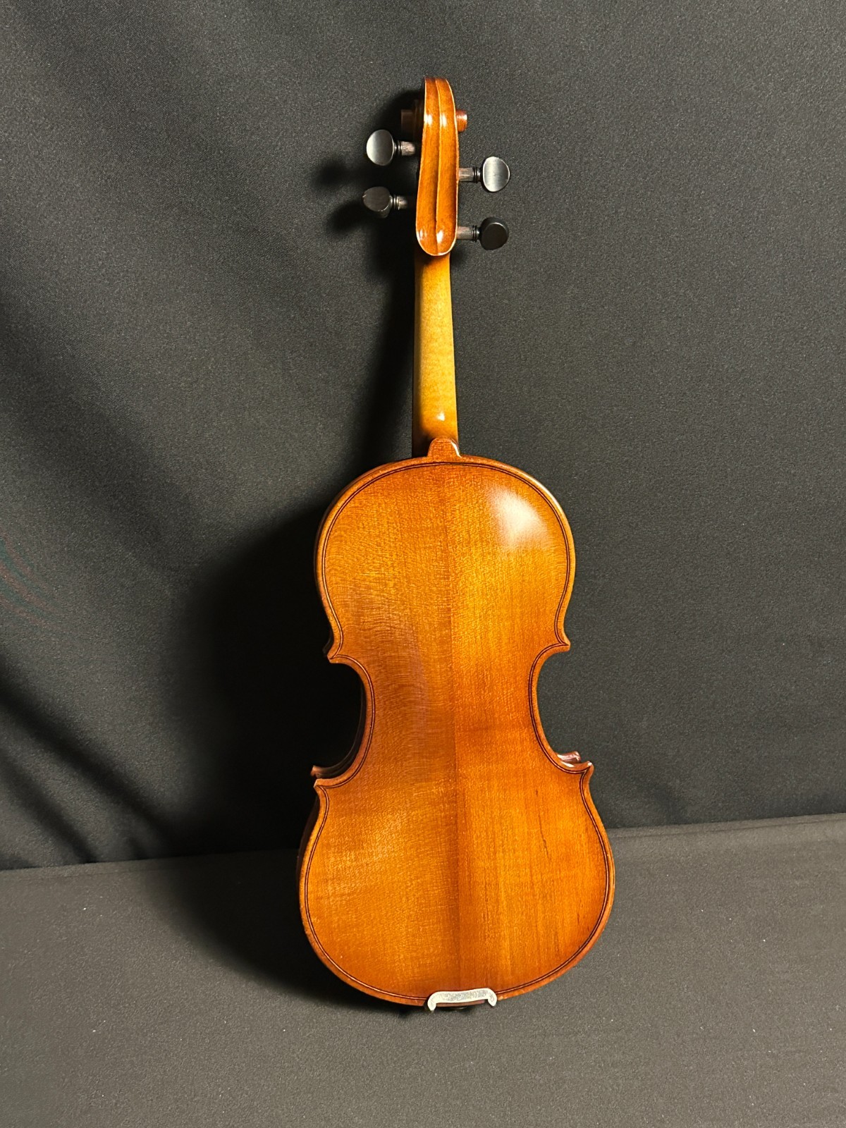 Corina 100 1/2 size Violin Outfit - Image 6