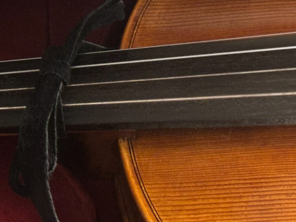 F. Reiner Master Model 16" Viola Outfit