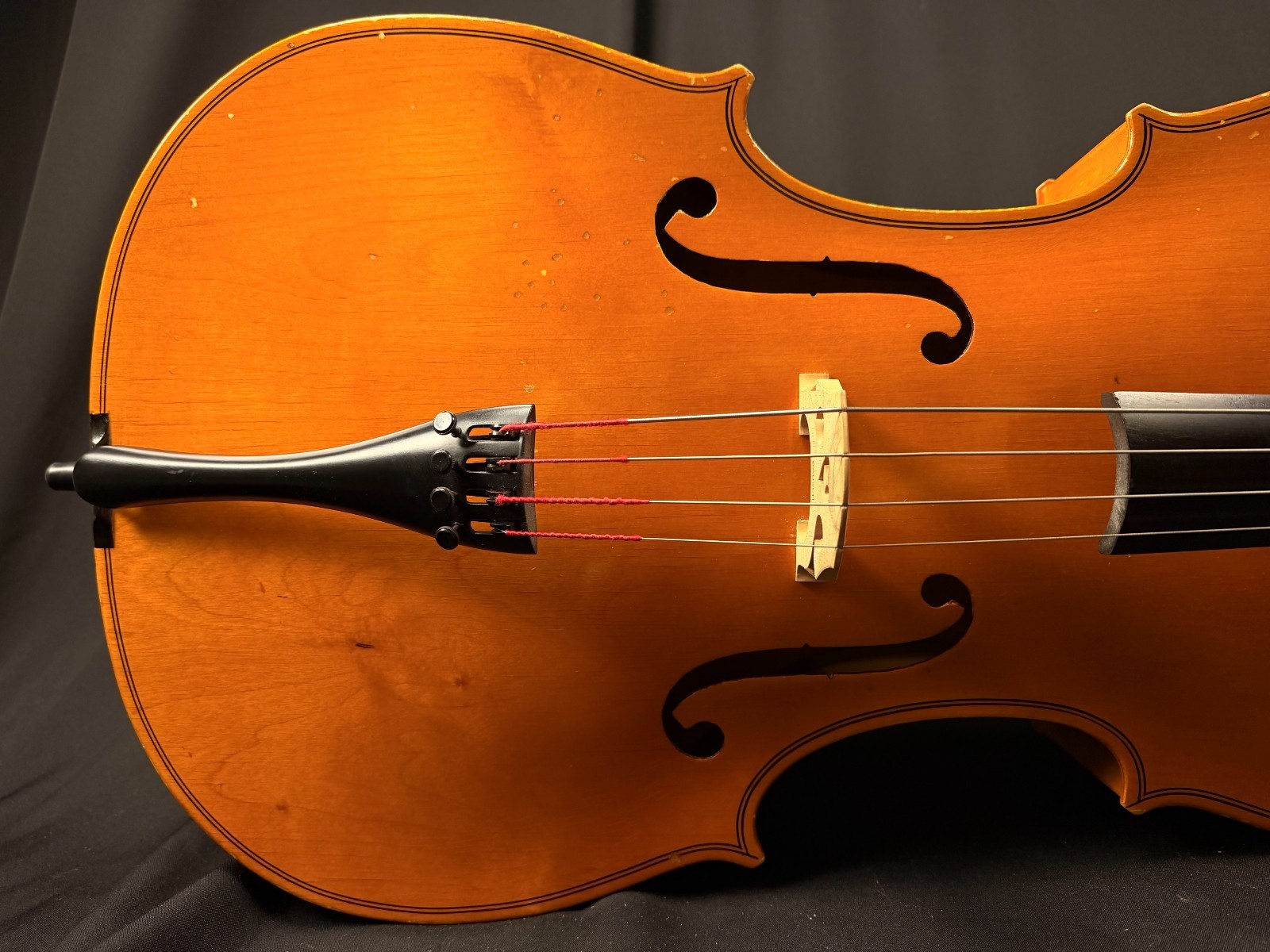 Glaesel CE42 4/4 Cello Outift - Image 5
