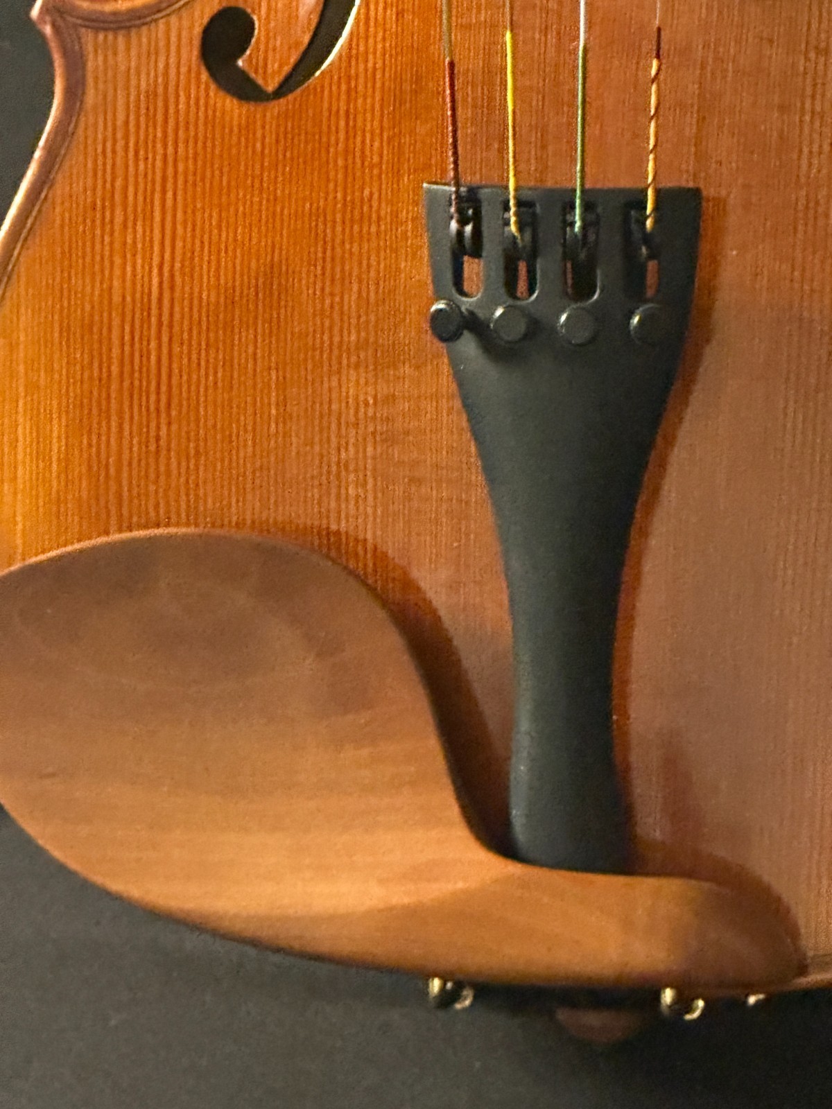 F. Reiner Master Model 16" Viola Outfit - Image 16