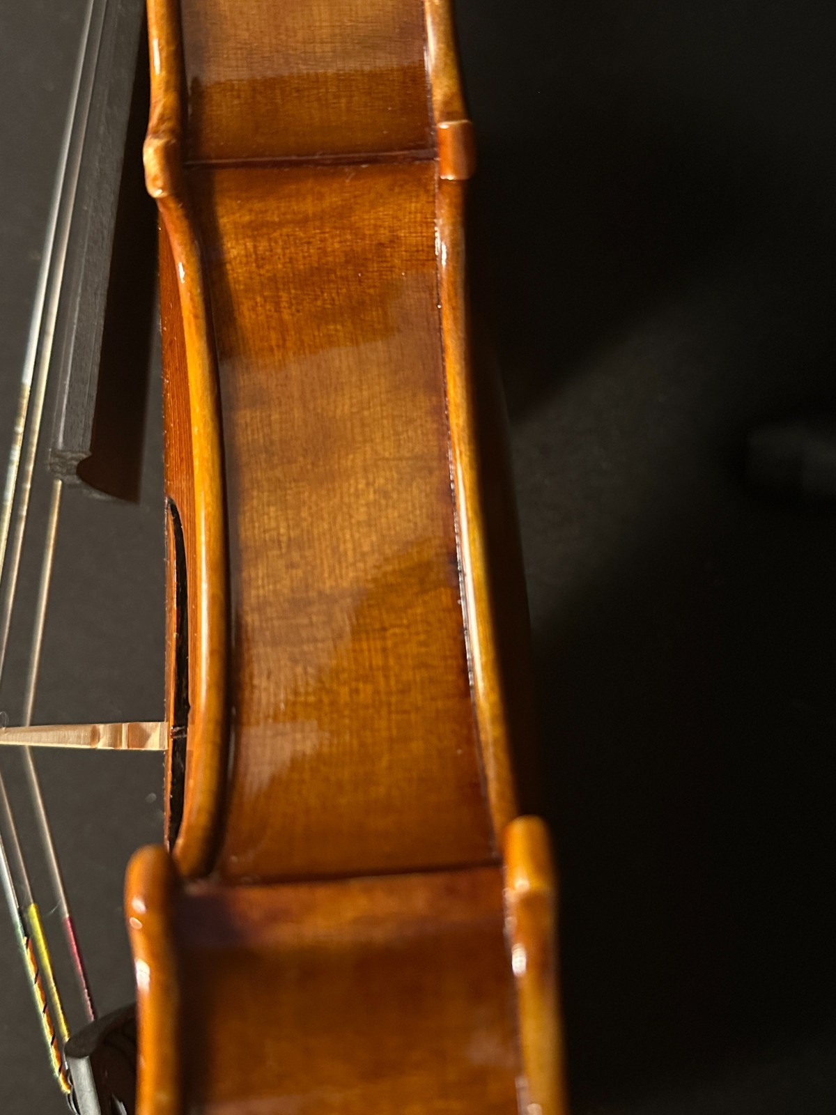 F. Reiner Master Model 16" Viola Outfit - Image 18