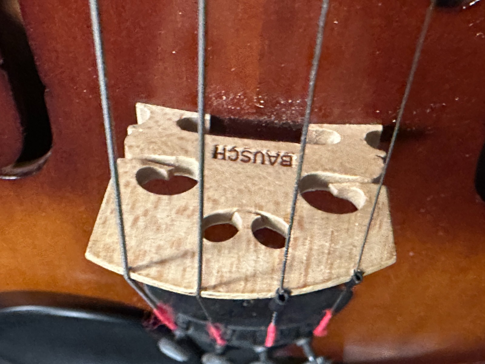 Corina 100 1/2 size Violin Outfit - Image 9