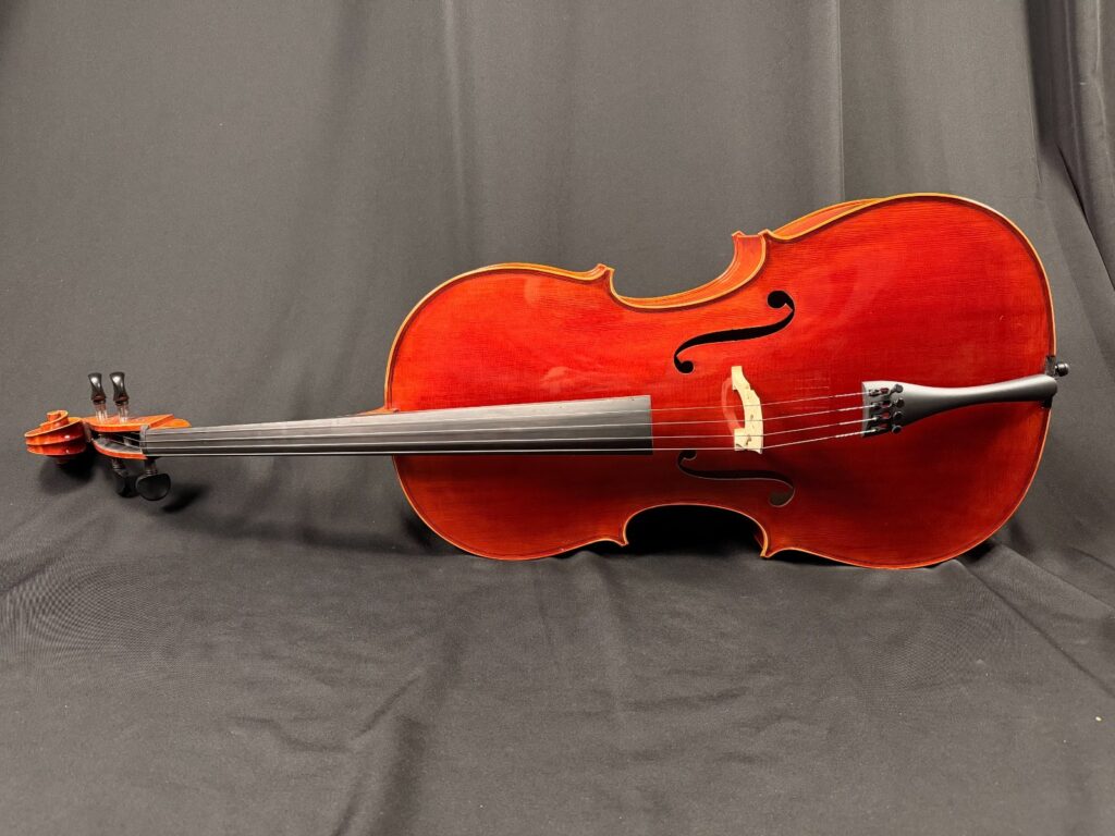 Ronald Sachs 4/4 Cello Outfit, made in 2020