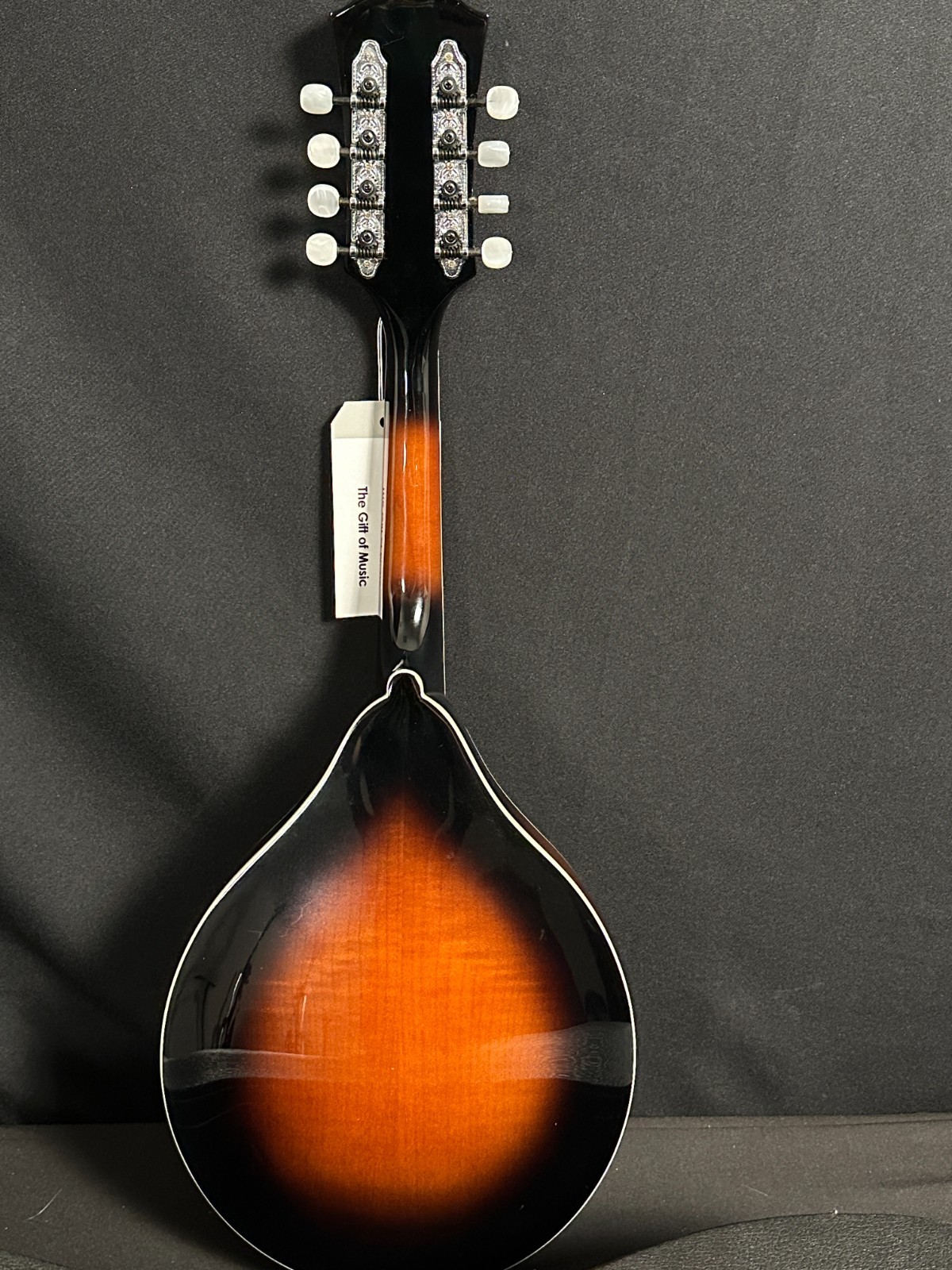 Michael Kelly Solid A-Style Mandolin - Image 7