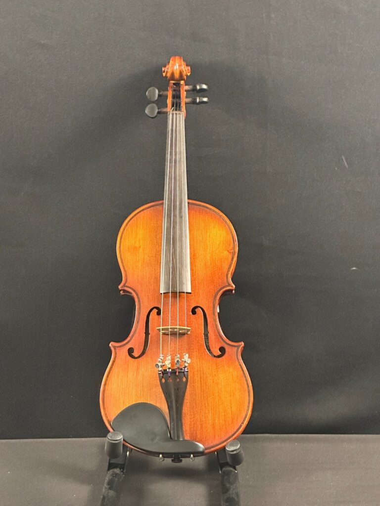 Corina 100 1/2 size violin outfit