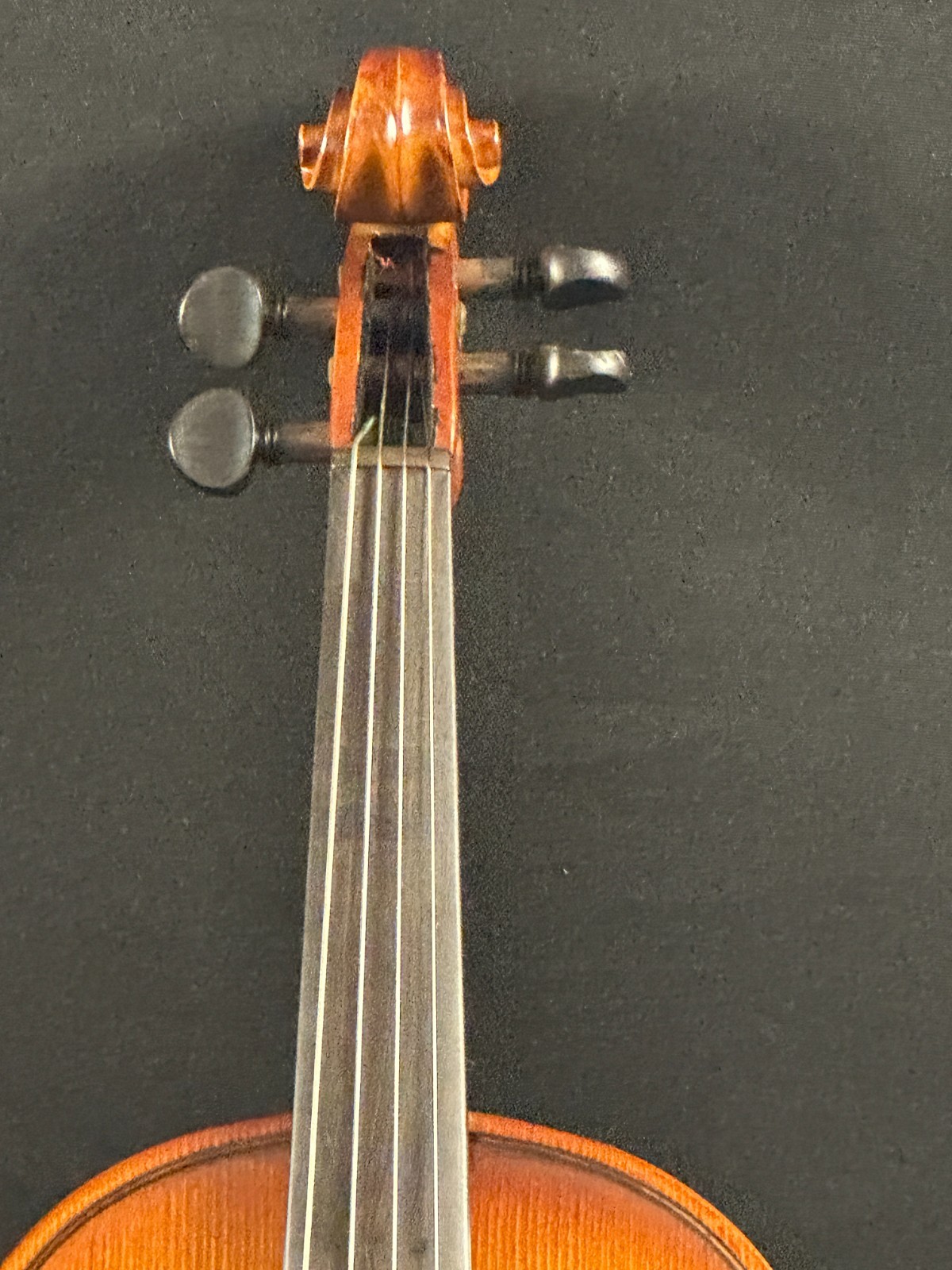 Corina 100 1/2 size violin outfit - Image 3