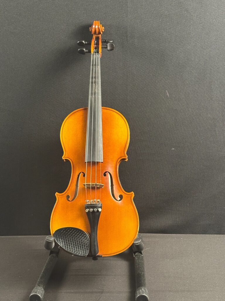 Atlanta Strings Strunal 4/4 Violin Outfit