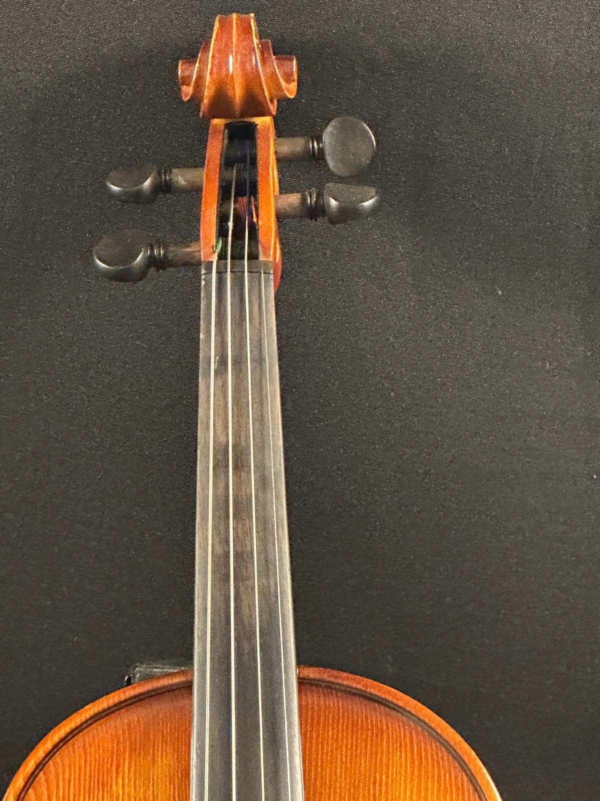 Corina 100 1/2 size violin outfit - Image 3