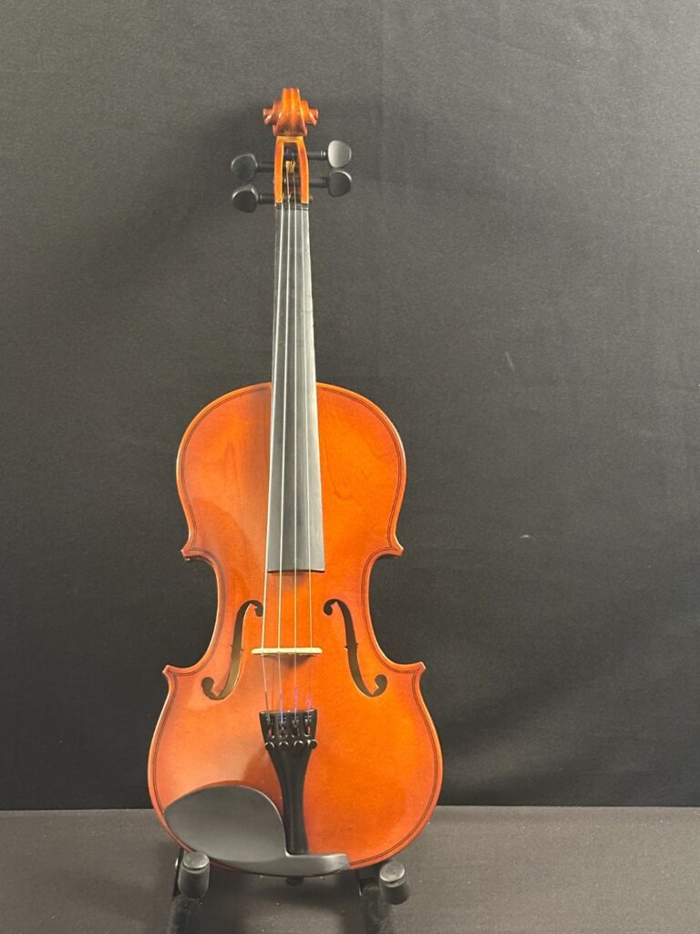 Unbranded 4/4 Violin Outfit
