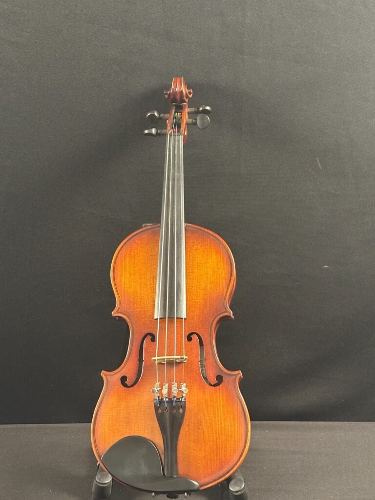 Corina 100 1/2 size Violin Outfit