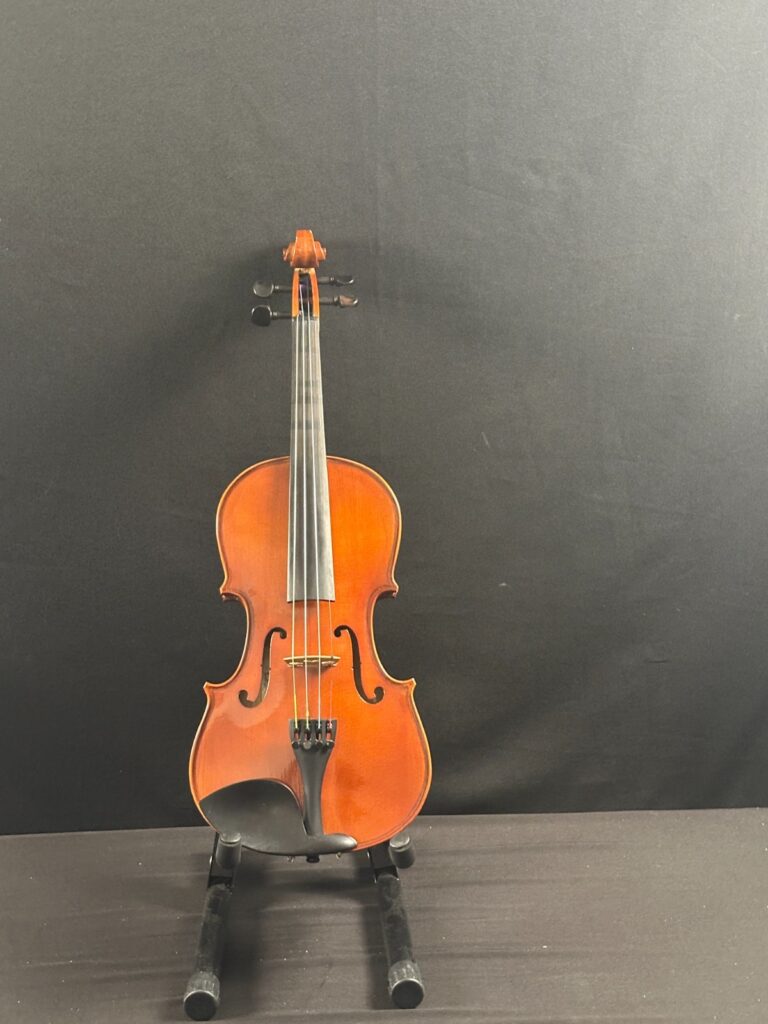 Franz Hoffman Amadeus 4/4 Violin Outfit
