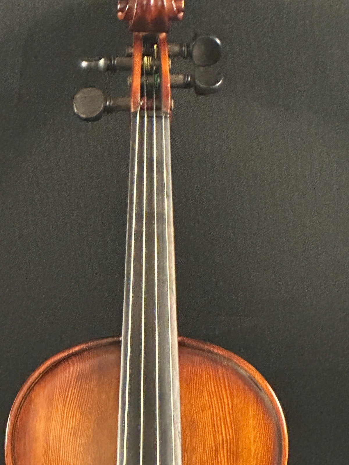 Corina 100 4/4 Violin Outfit - Image 3