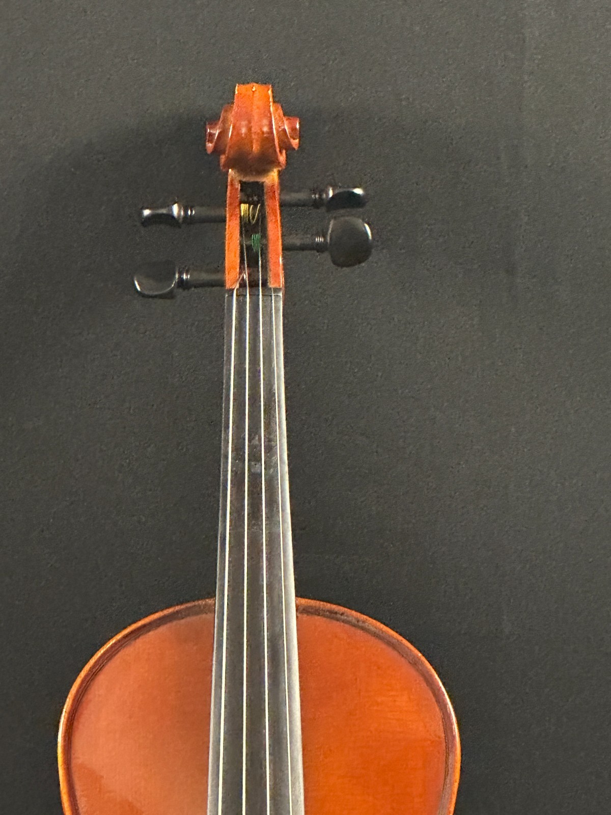Franz Hoffman Amadeus 4/4 Violin Outfit - Image 3