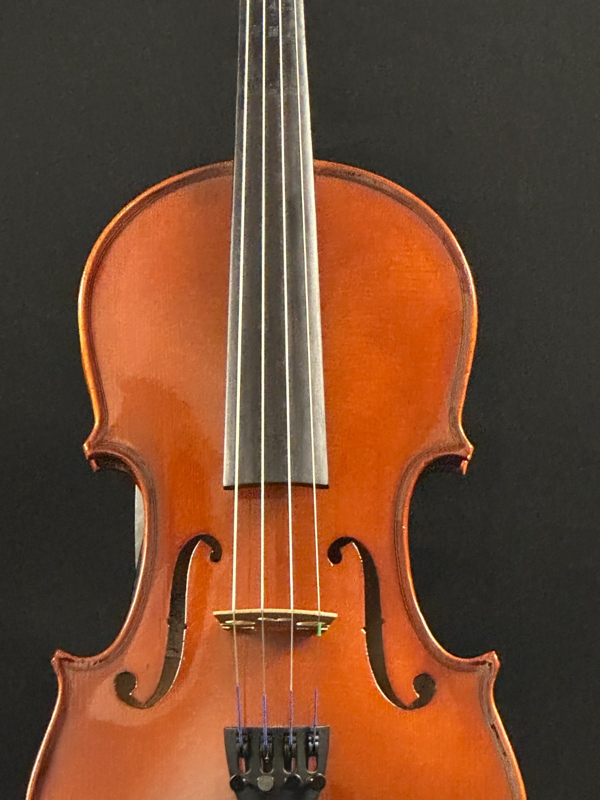 Franz Hoffman Amadeus 4/4 Violin Outfit - Image 4