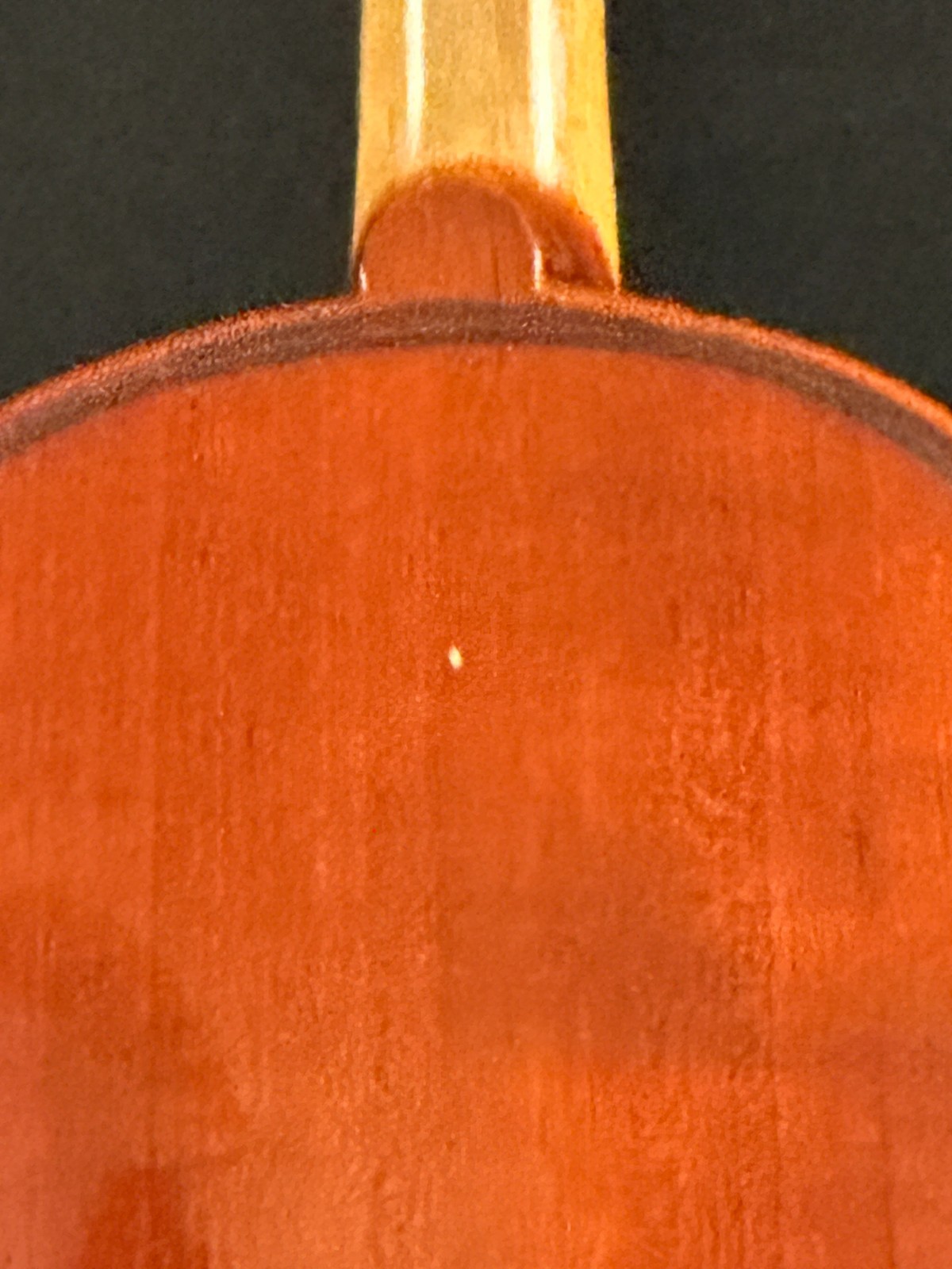 Franz Hoffman Amadeus 4/4 Violin Outfit - Image 9