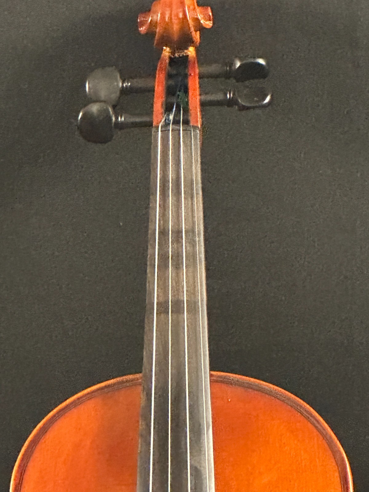 Franz Hoffman Amadeus 4/4 Violin Outfit - Image 3