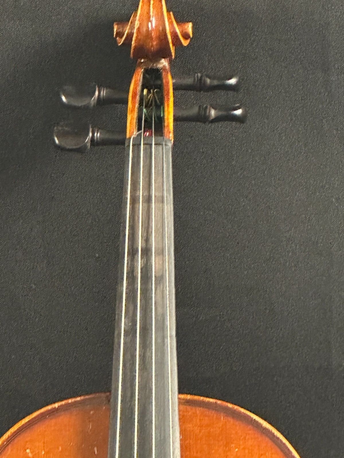 Franz Hoffman Prelude 4/4 Violin Outfit - Image 7